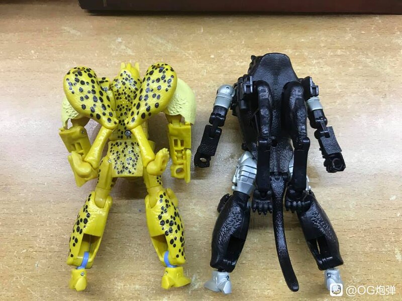 MORE Transformers Agent Ravage Images Cheetor Compared  (49 of 67)